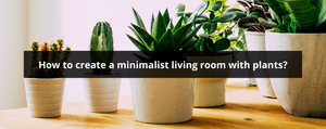 minimalist living room with plants