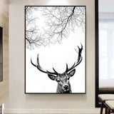 whitetail deer wall art